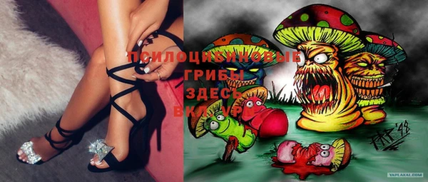 твердый Белая Холуница